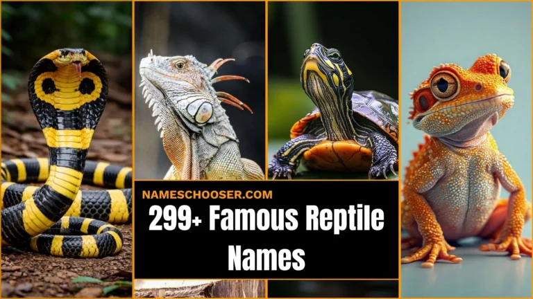 299+ Famous Reptile Names for Your New Pet