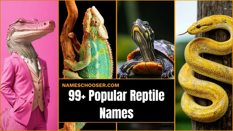 99+ Popular Reptile Names: That Will Instantly Spark The Perfect Name For Your New Pet