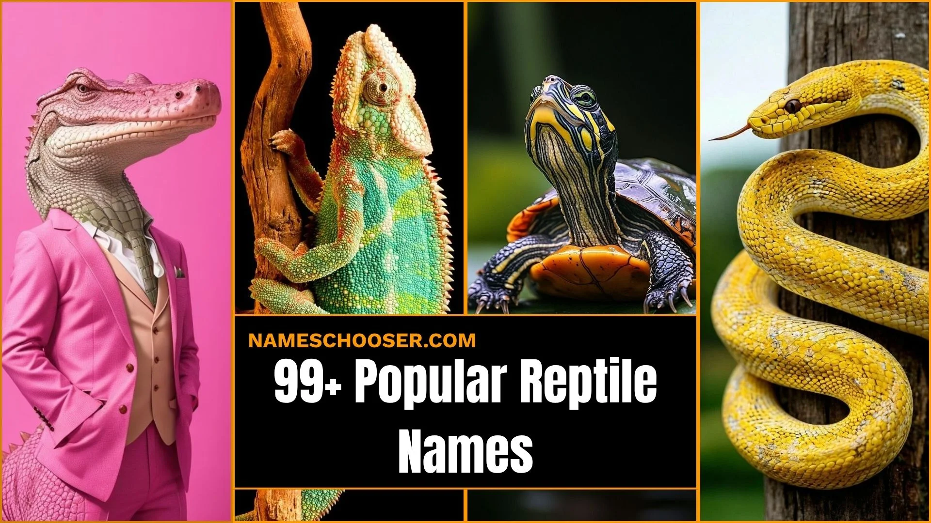 99+ Popular Reptile Names: That Will Instantly Spark The Perfect Name For Your New Pet