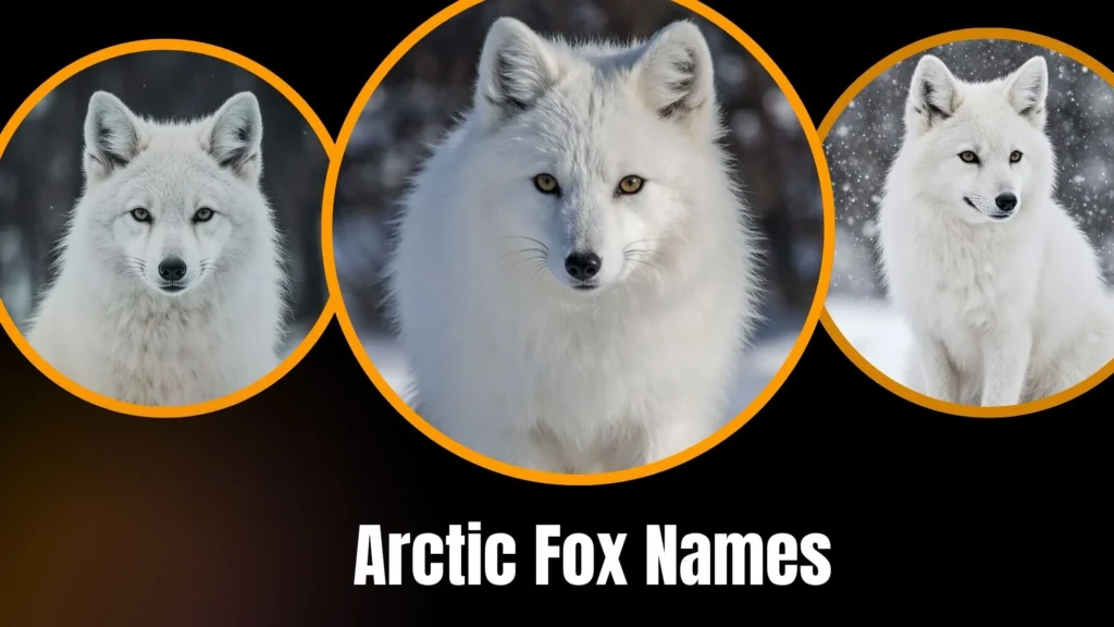 Arctic Fox Names