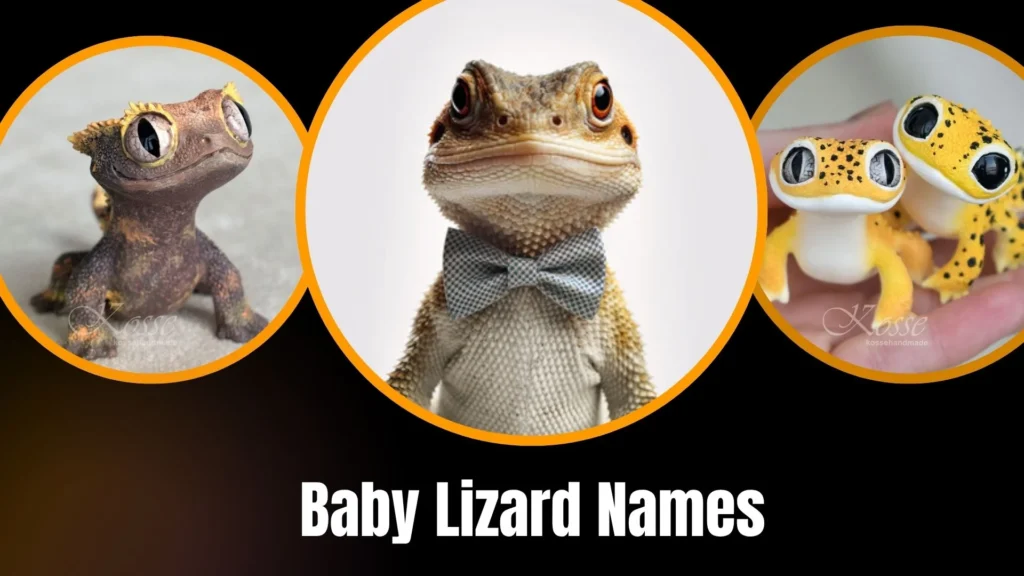 Baby Lizard Names