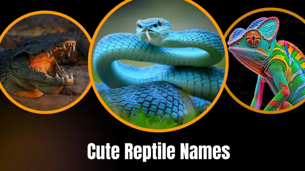 Cute Reptile Names