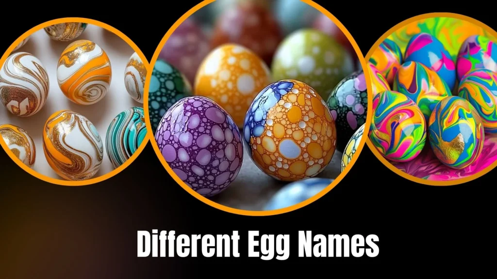 Different Egg Names