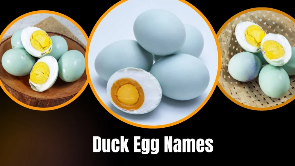 Duck Egg Names