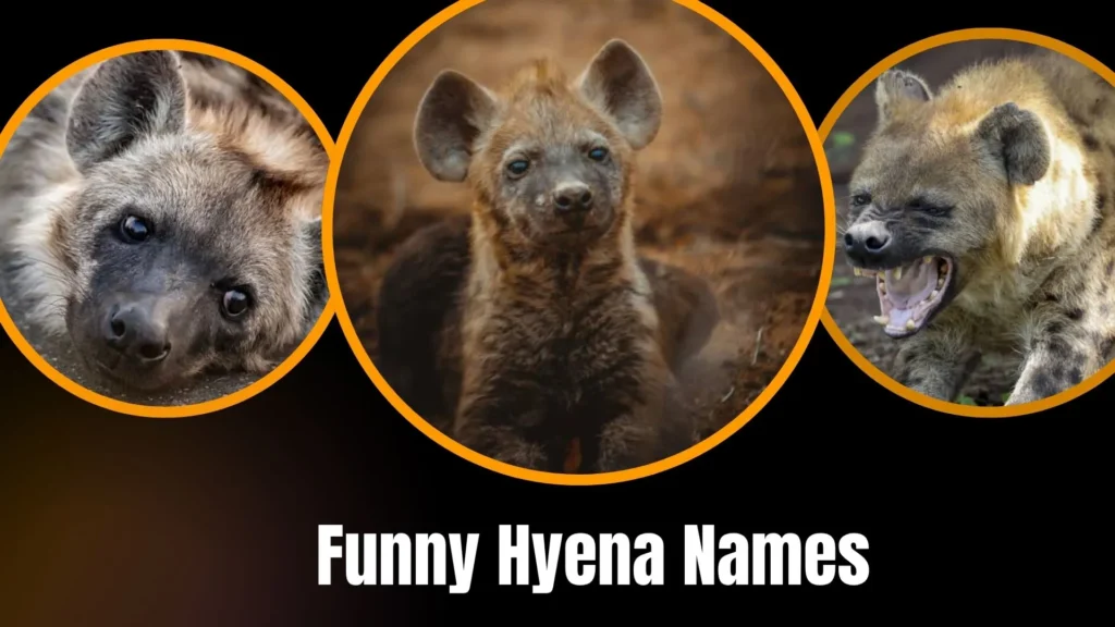 Funny Hyena Names