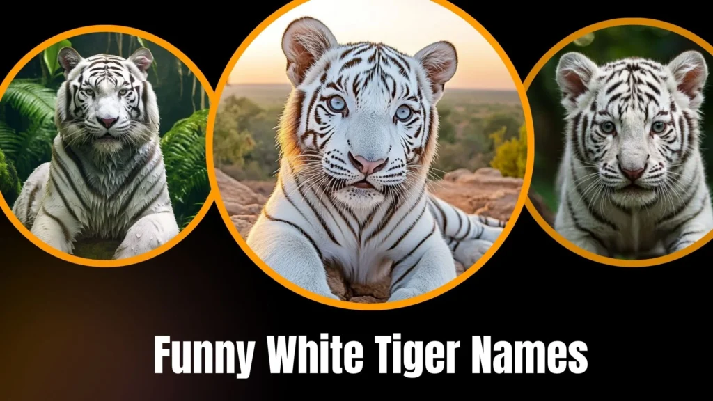 Funny White Tiger Names