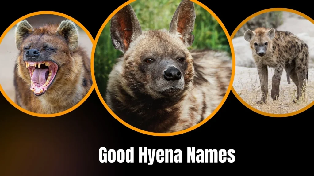 Good Hyena Names