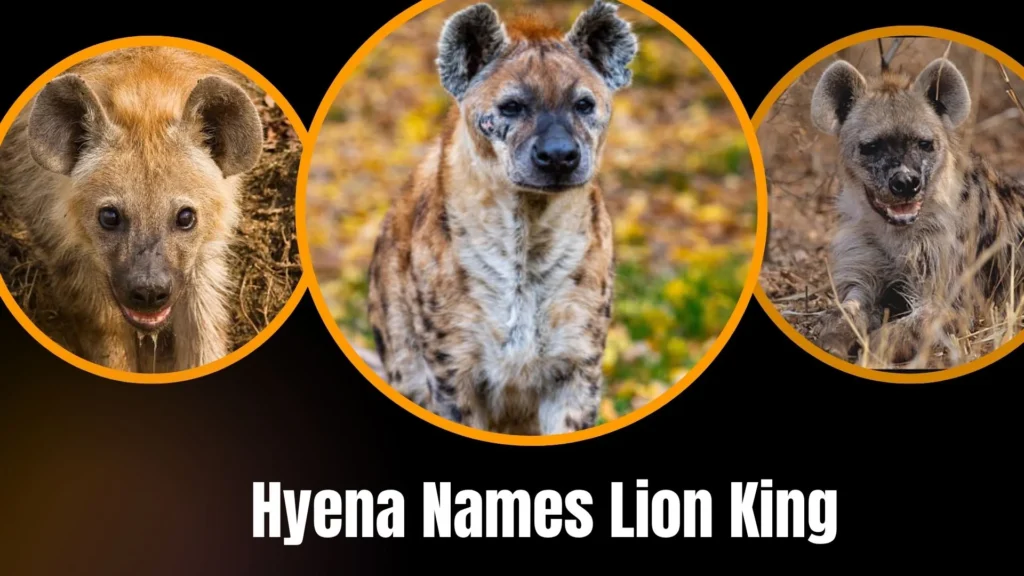 Hyena Names Lion King