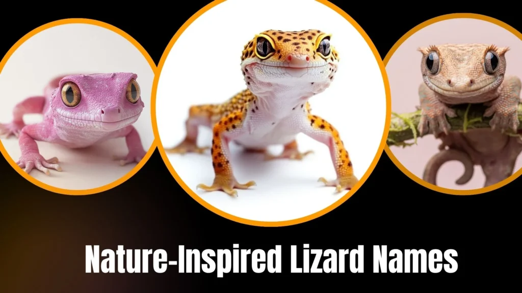 Nature-Inspired Lizard Names