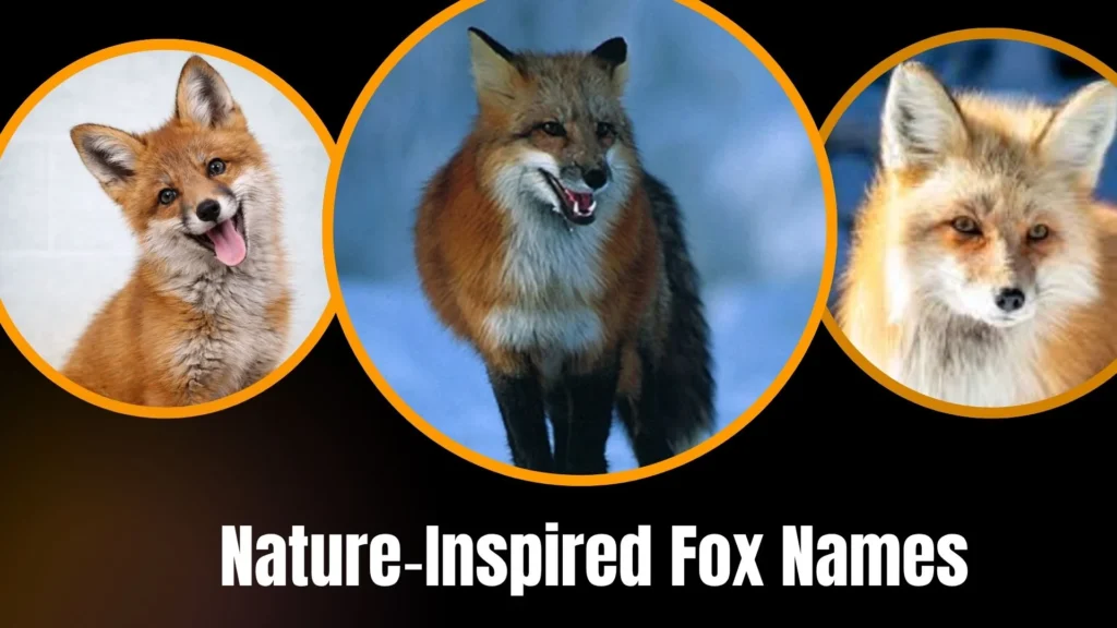 Nature‑Inspired Fox Names