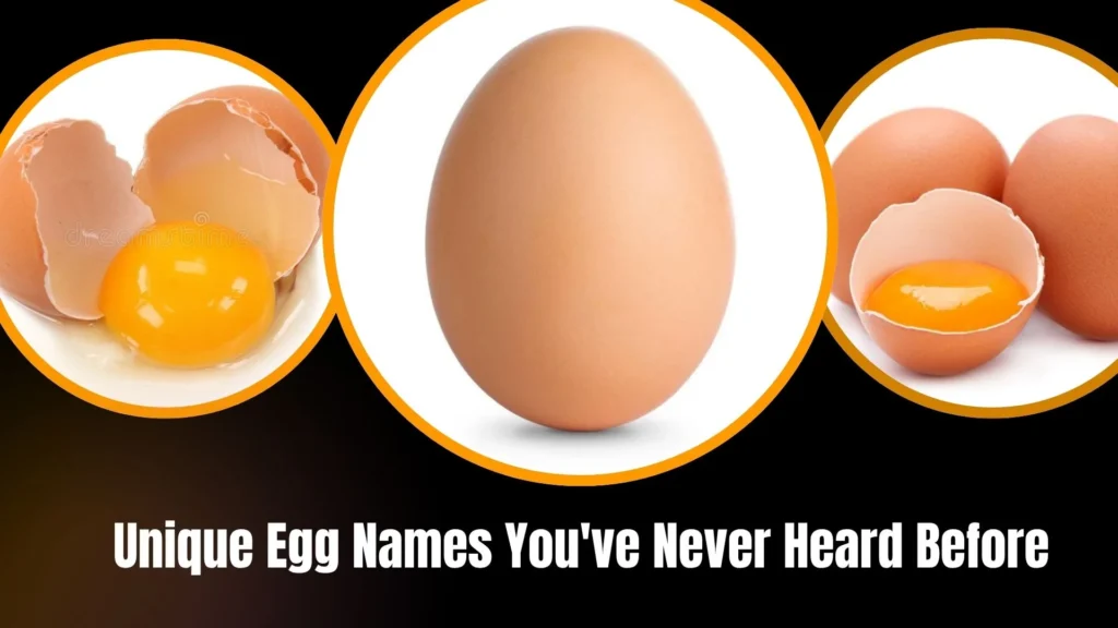 Unique Egg Names You've Never Heard Before