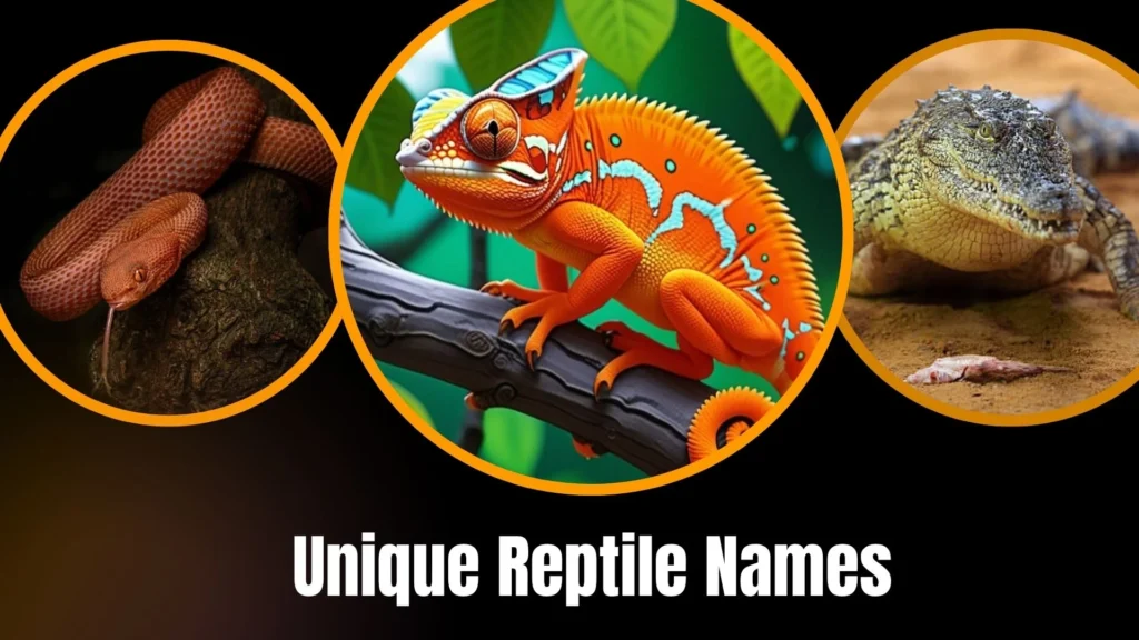 Unique Reptile Names