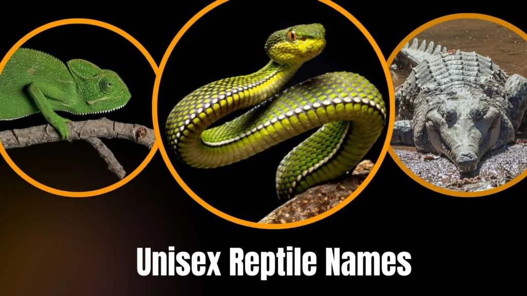 Unisex Reptile Names