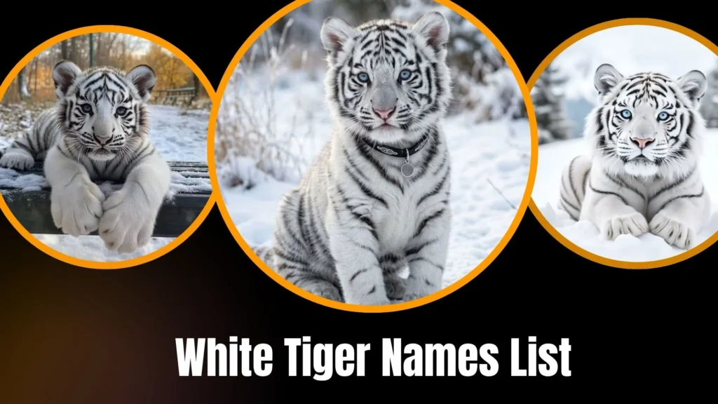 White Tiger Names List