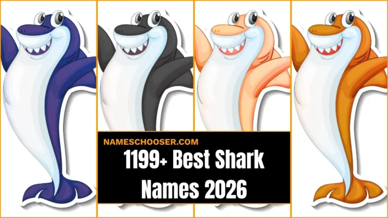 1199+ Best Shark Names: Funny, Cute & Creative That Make A Splash