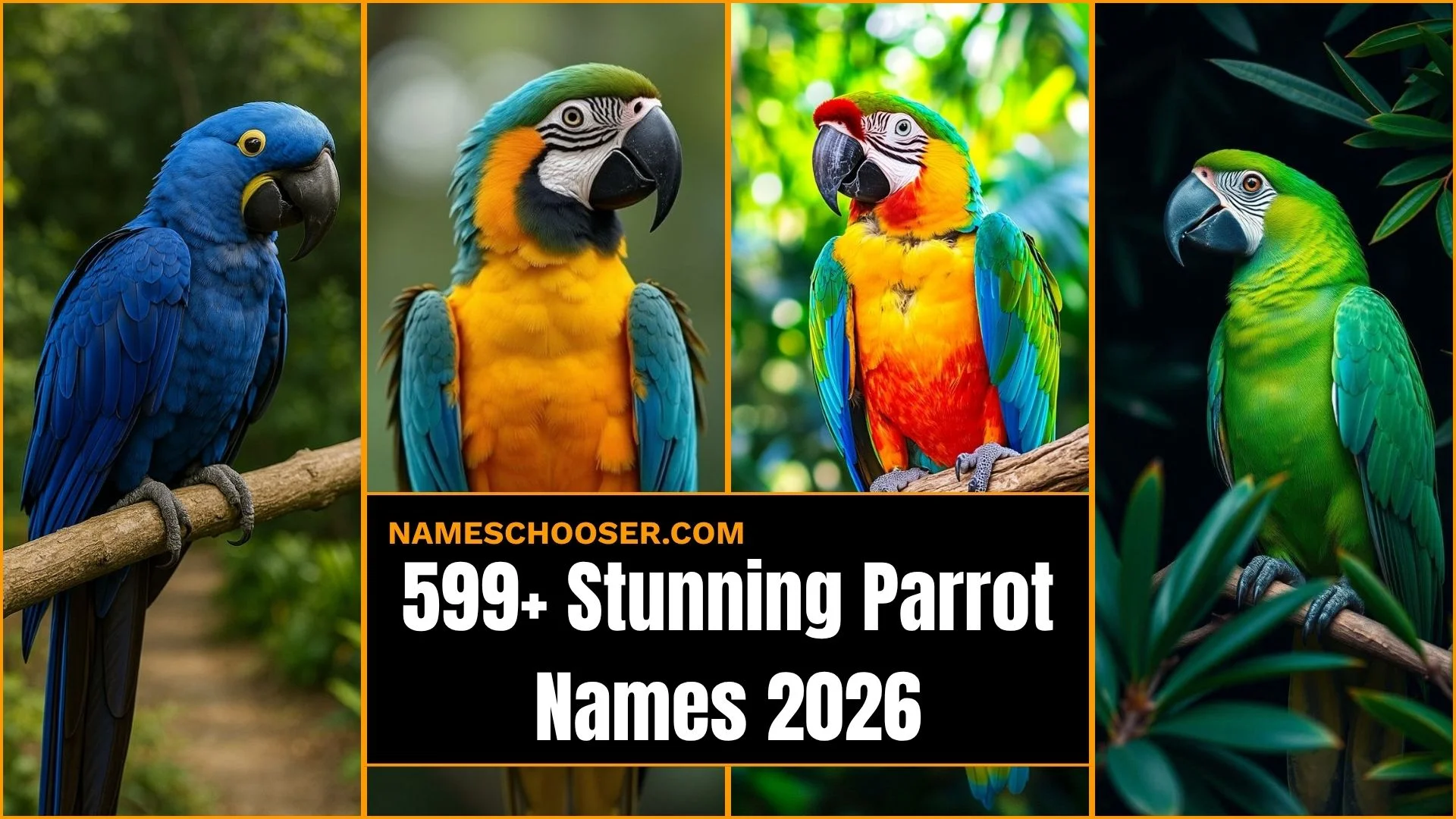 599+ Stunning Parrot Names: You’ll Instantly Love Bird Name Generator Inside