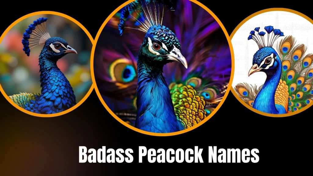 Badass Peacock Names