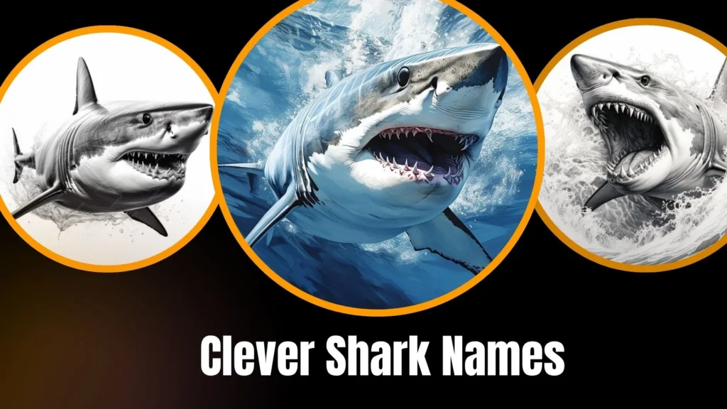 Clever Shark Names
