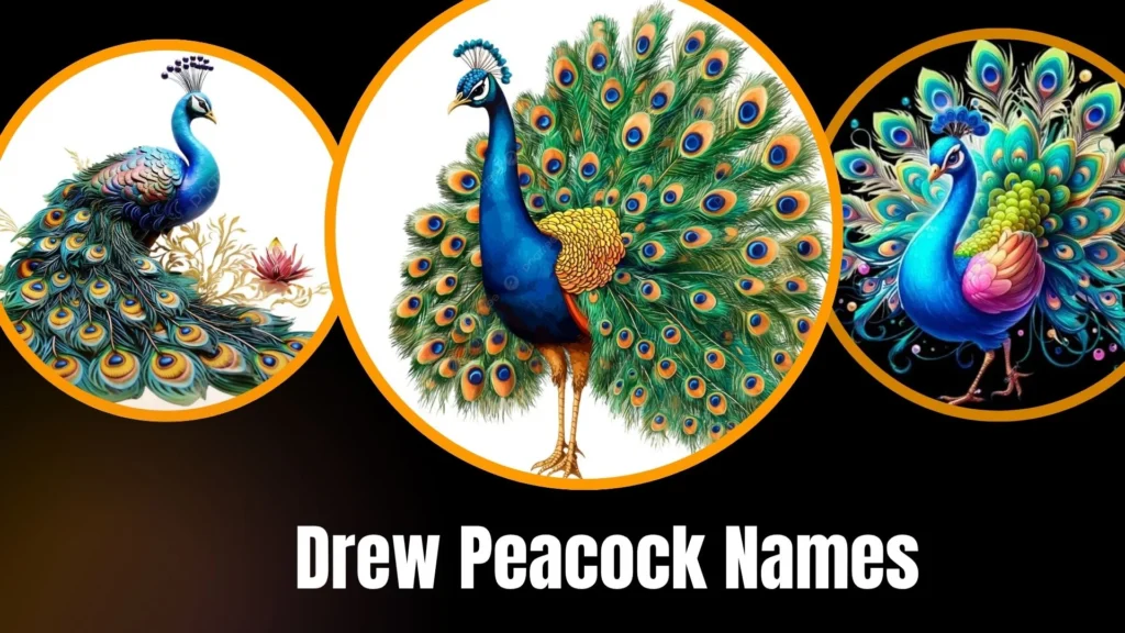 Drew Peacock Names