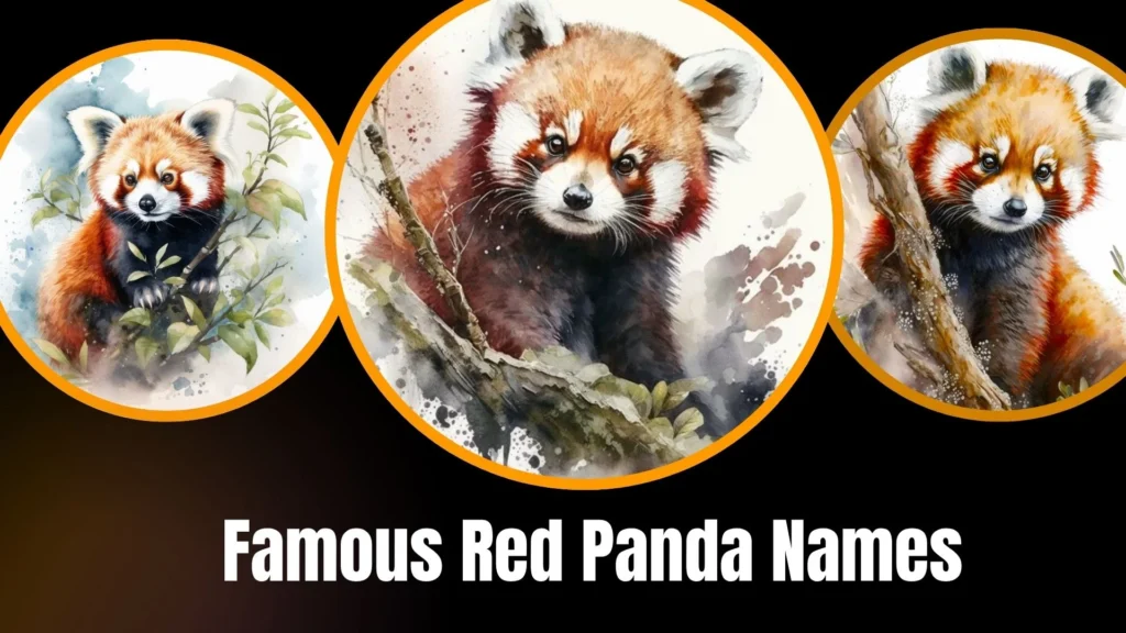 Famous Red Panda Names