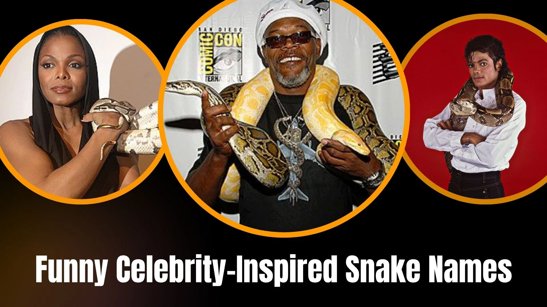Funny Celebrity-Inspired Snake Names