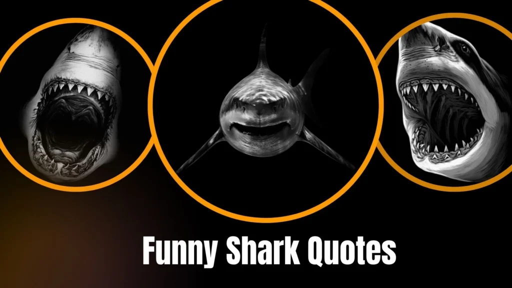 Funny Shark Quotes