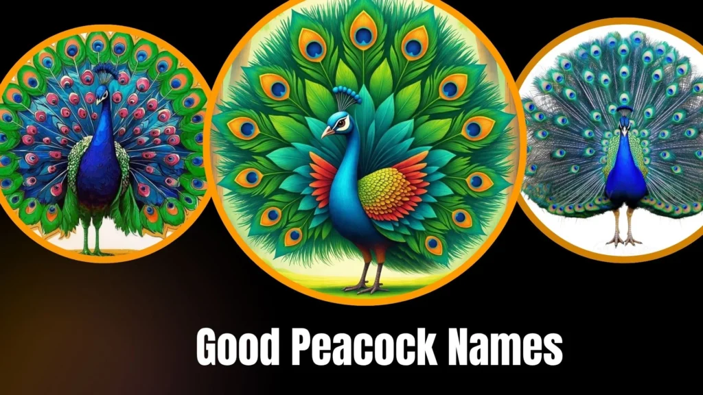 Good Peacock Names