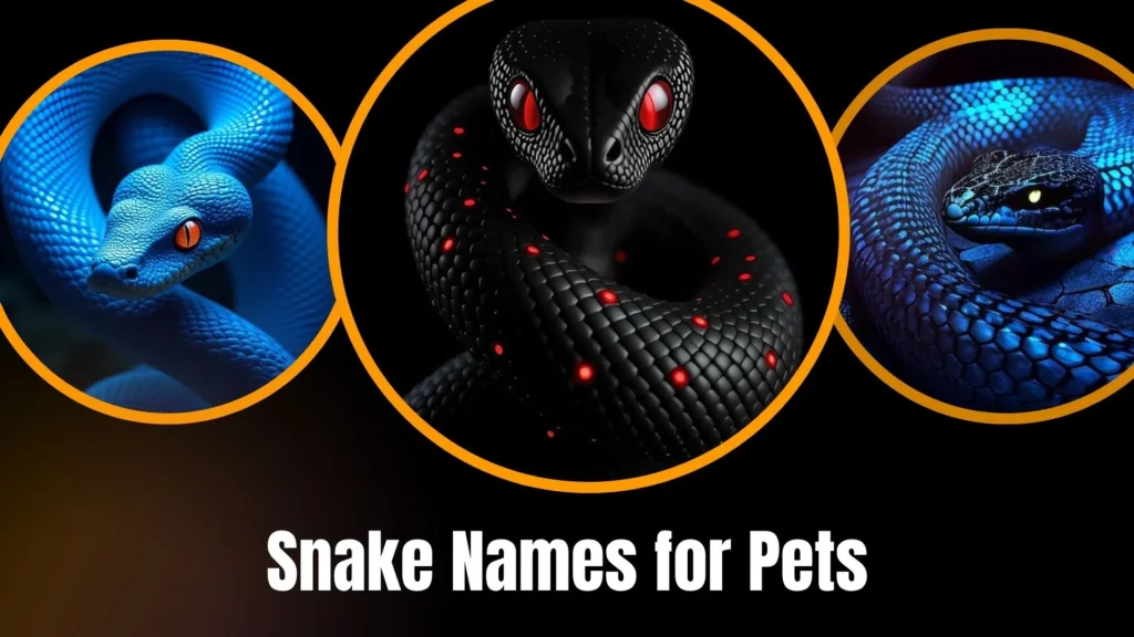 Snake Names for Pets