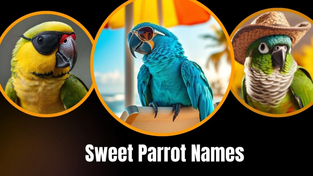 Sweet Parrot Names
