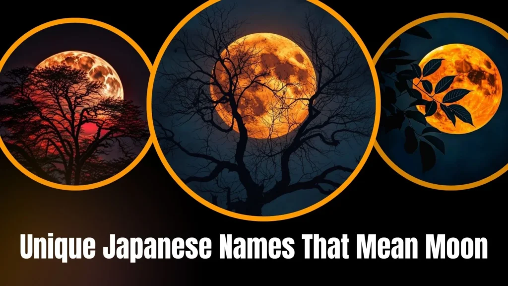 Unique Japanese Names That Mean Moon