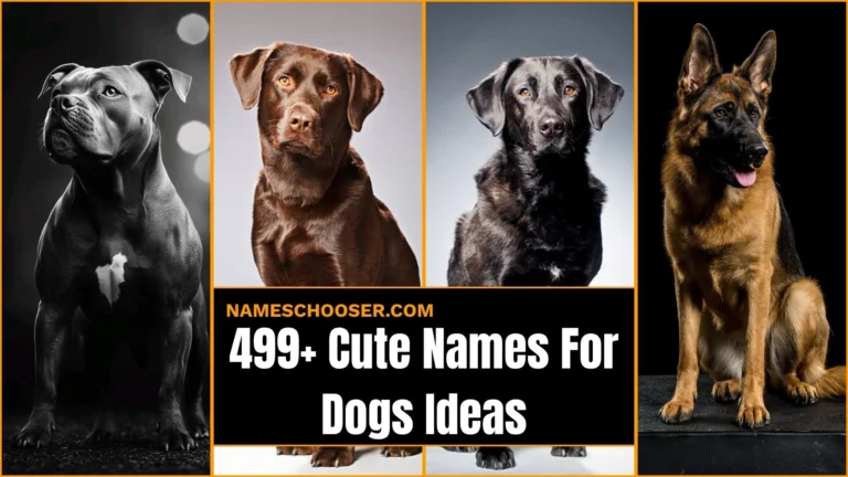 499+ Cute Names For Dogs That Are Too Adorable To Ignore: Male, Female, Funny And Unique Ideas 