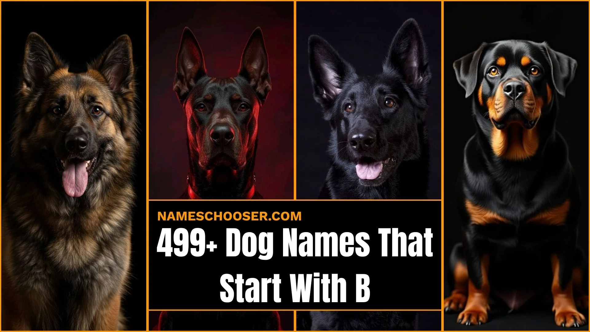 499+ Dog Names That Start With B: With Cute, Cool, Unique And Surprisingly Perfect Ideas 