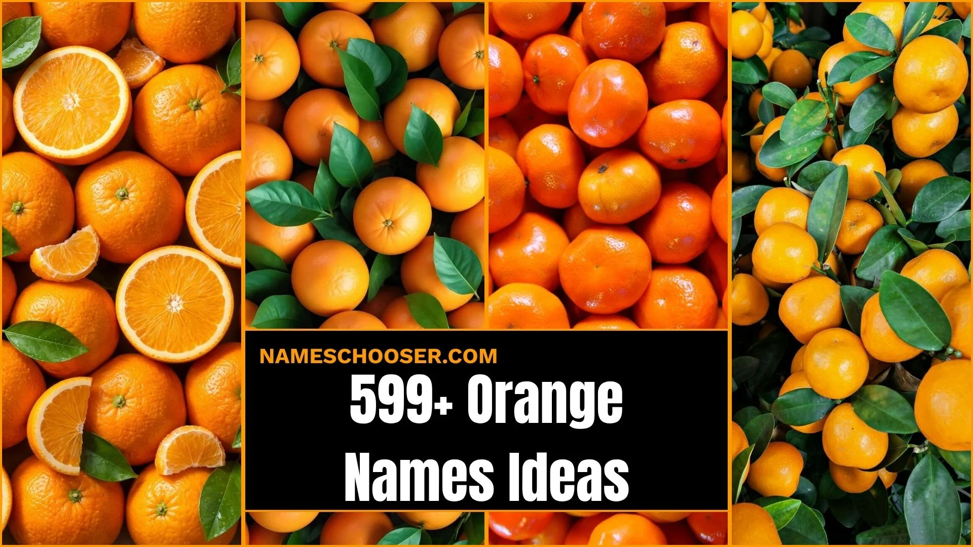599+ Orange Names That Glow With Warmth Amazing Ideas For Girls, Boys, Pets & More