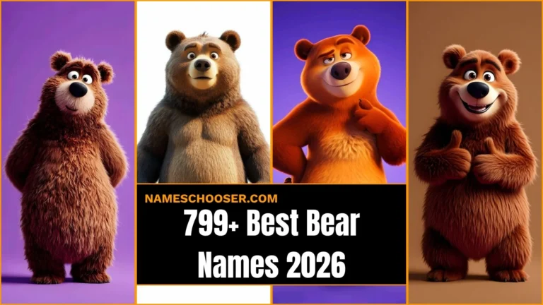 799+ Best Bear Names That Will Instantly Melt Hearts: Funny, Cute, Famous And Unique Ideas
