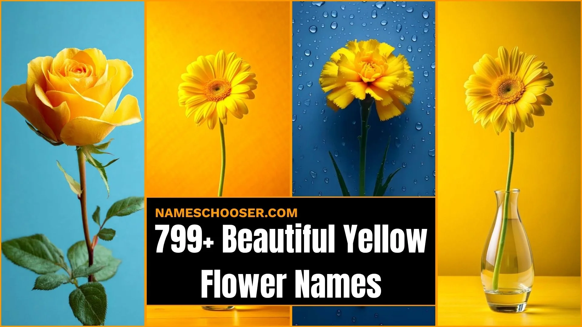 799+ Yellow Flower Names: That Feel Magical, Beautiful, Rare And Surprisingly Perfect 