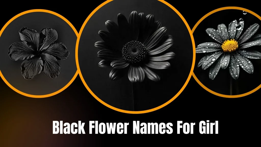 Black Flower Names For Girl