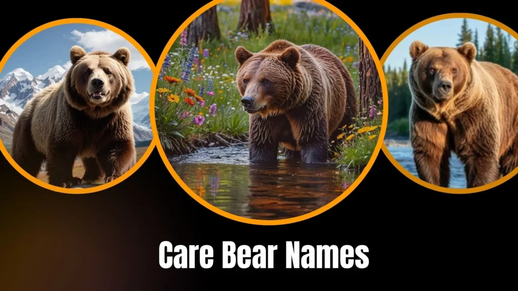 Care Bear Names