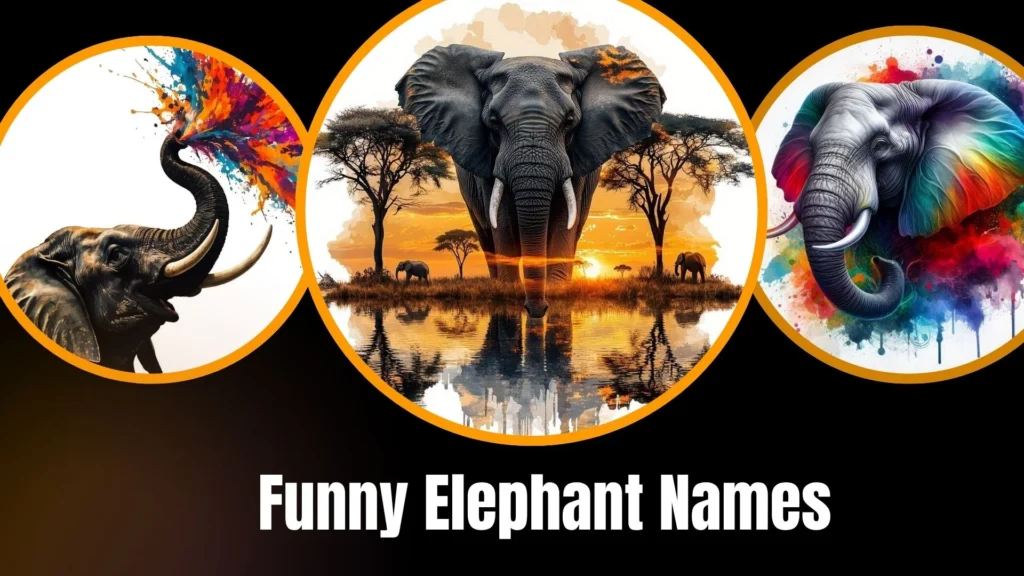 Funny Elephant Names