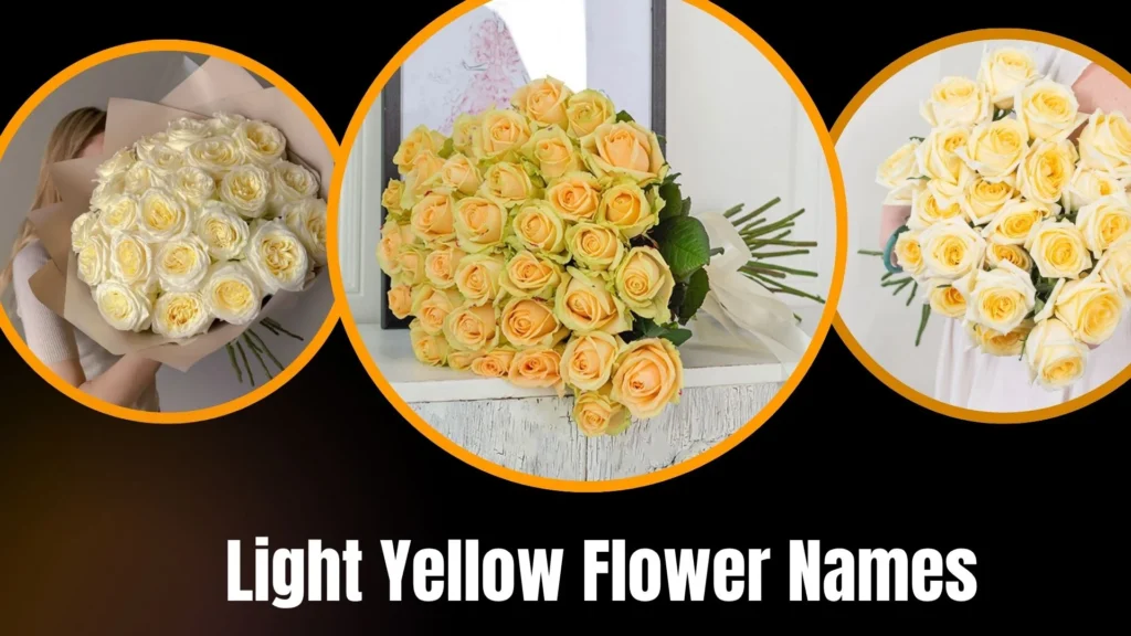 Light Yellow Flower Names