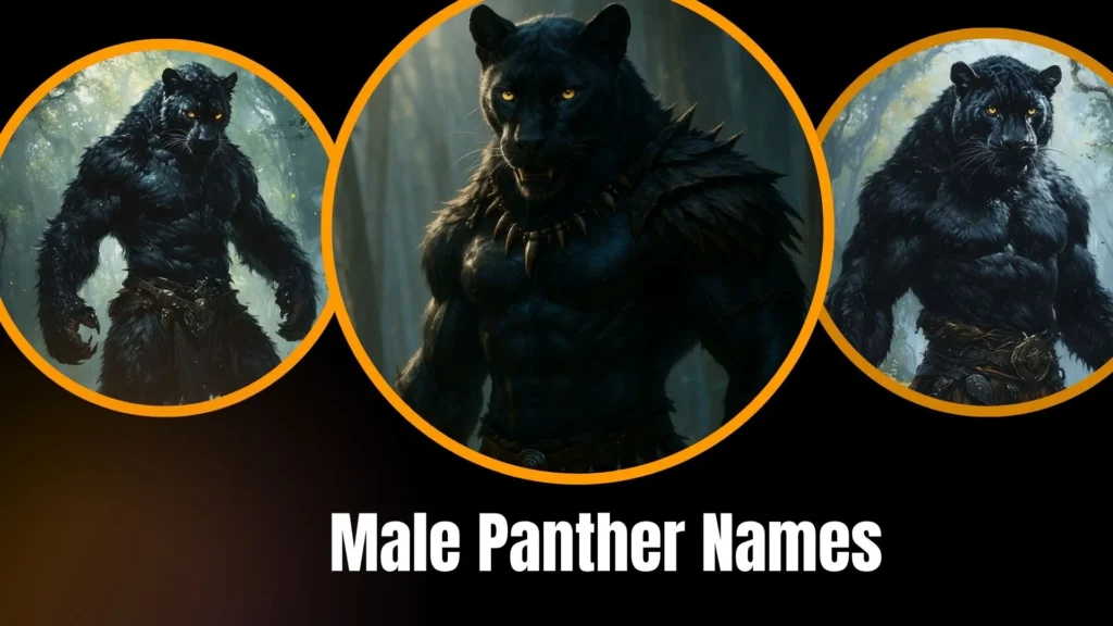Male Panther Names