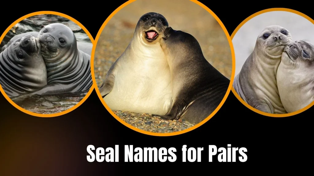 Seal Names for Pairs
