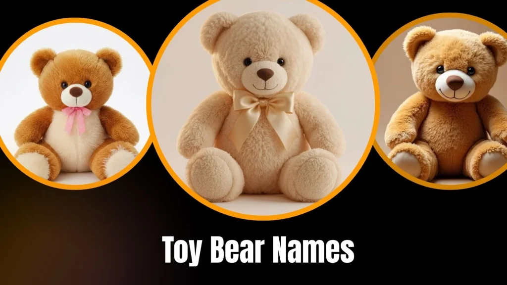 Toy Bear Names