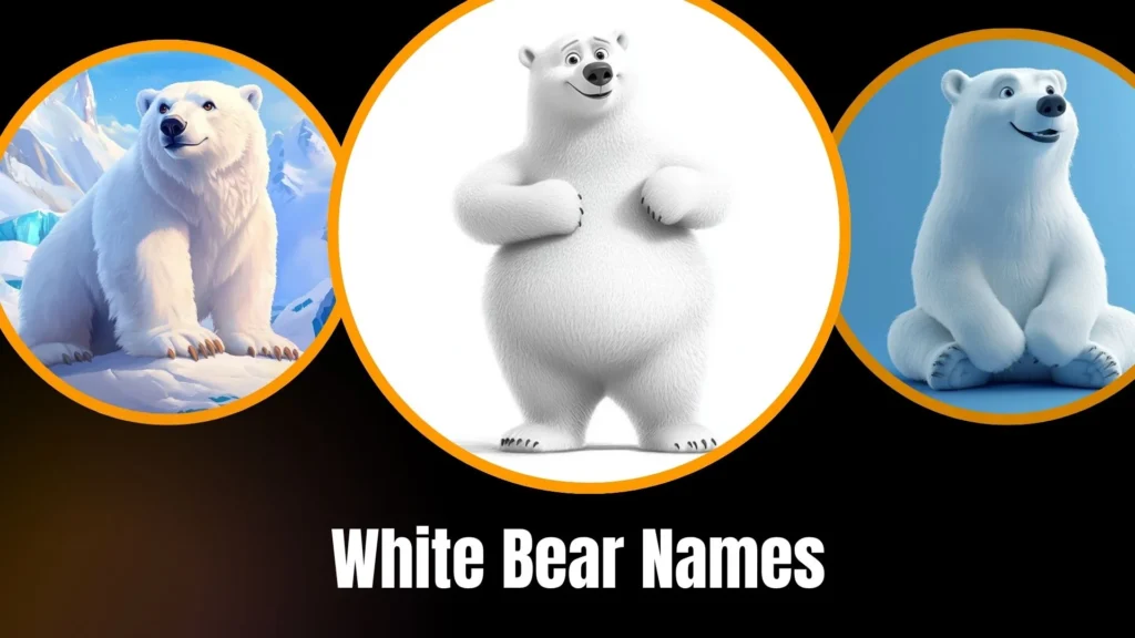 White Bear Names