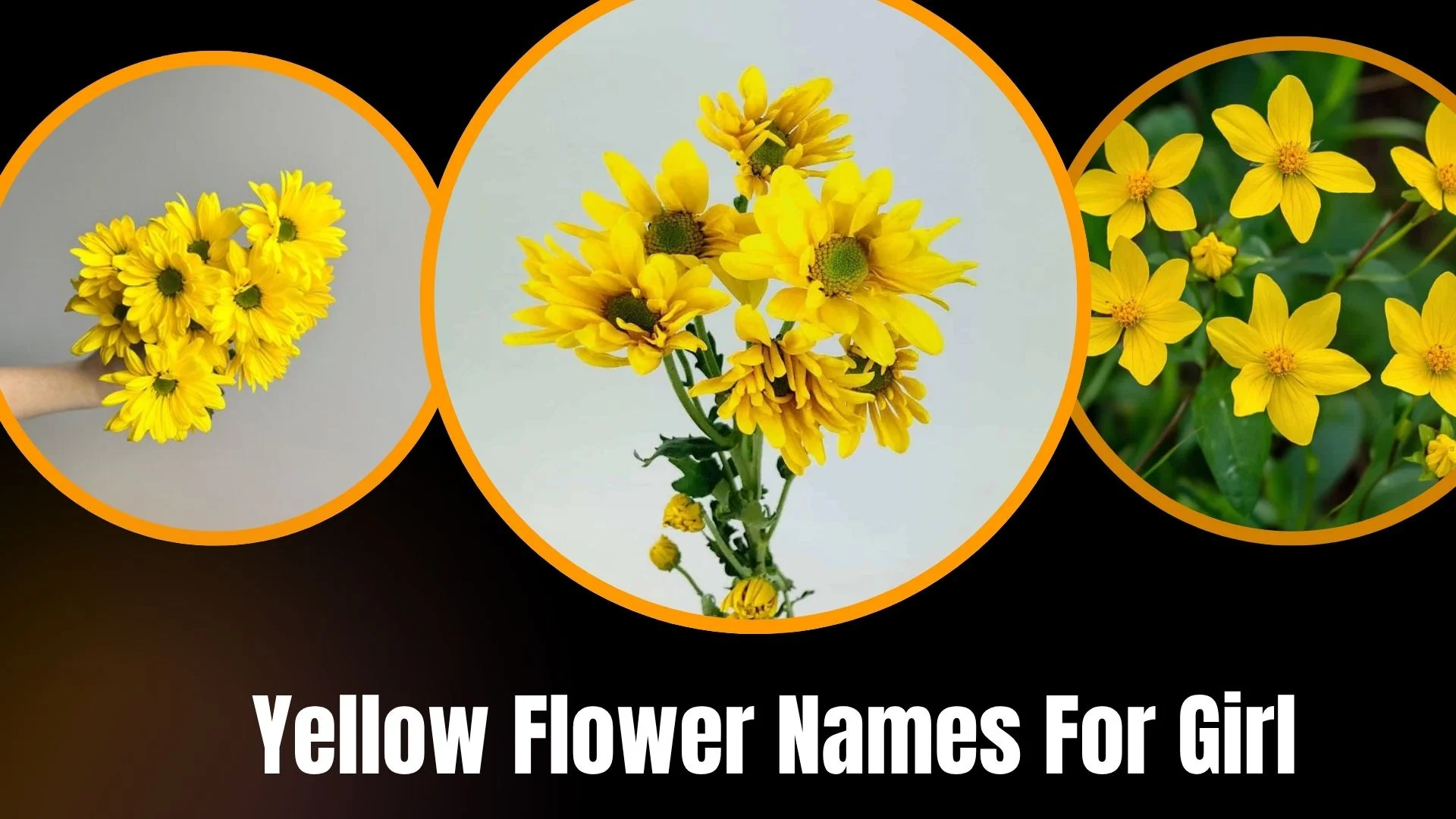 Yellow Flower Names For Girl