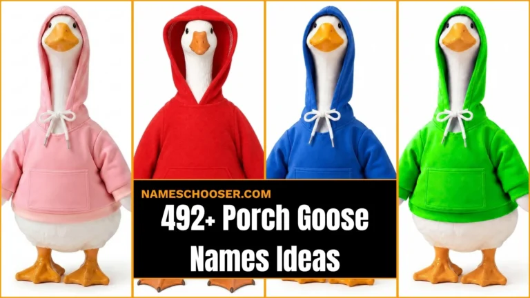 Porch Goose Names: 492+ Ideas For Every Costume And Personality